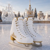 Коньки фигурные FITICE Rental X Gold